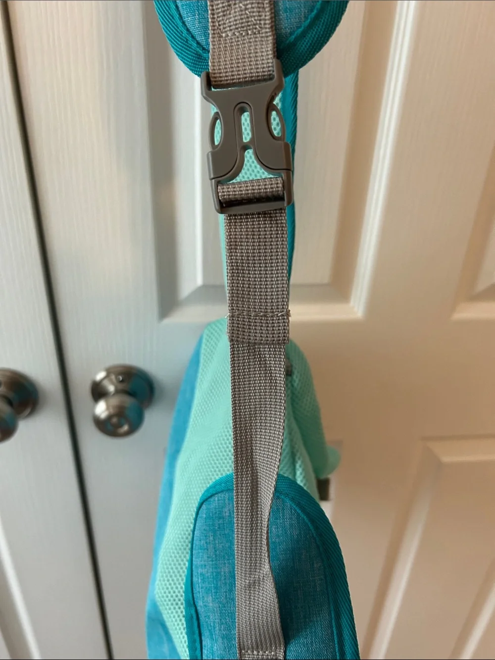 Teal Sling Shoulder Bag Pet Carrier